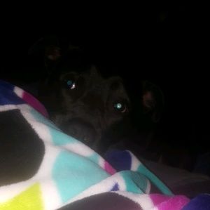 Meet your Posher, Katelyn